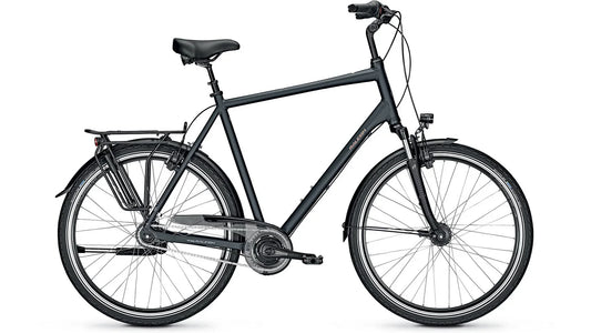 Raleigh Chester 8 XXL