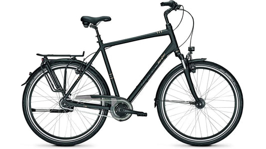 Raleigh Chester 8 XXL